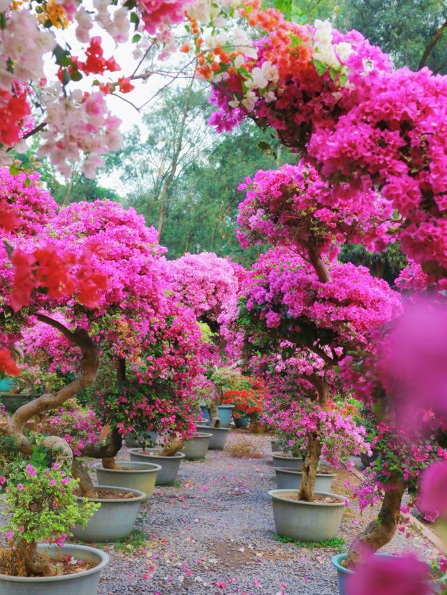 這裡風景獨好 這裡風景獨好