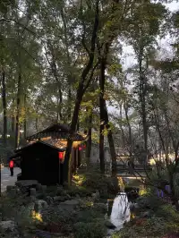 杭州2h直達！一個還在80年代的寶藏小鎮