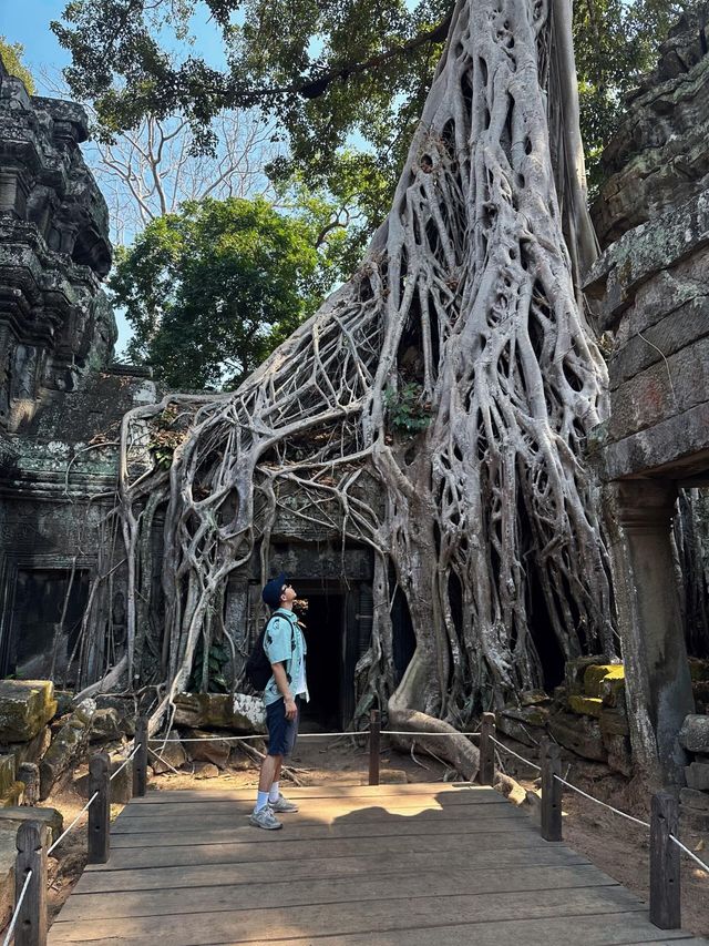 一個人solo柬埔寨吳哥窟,大小圈行程攻略 一個人solo柬埔寨吳哥窟,大小圈行程攻略