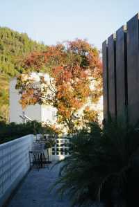 大理最頂溫泉私湯，洱源梵山魚