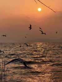 日落是溫柔，浪漫是和你一起看過的瞬間