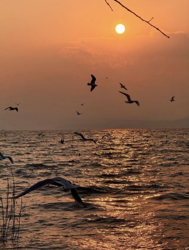 日落是溫柔，浪漫是和你一起看過的瞬間