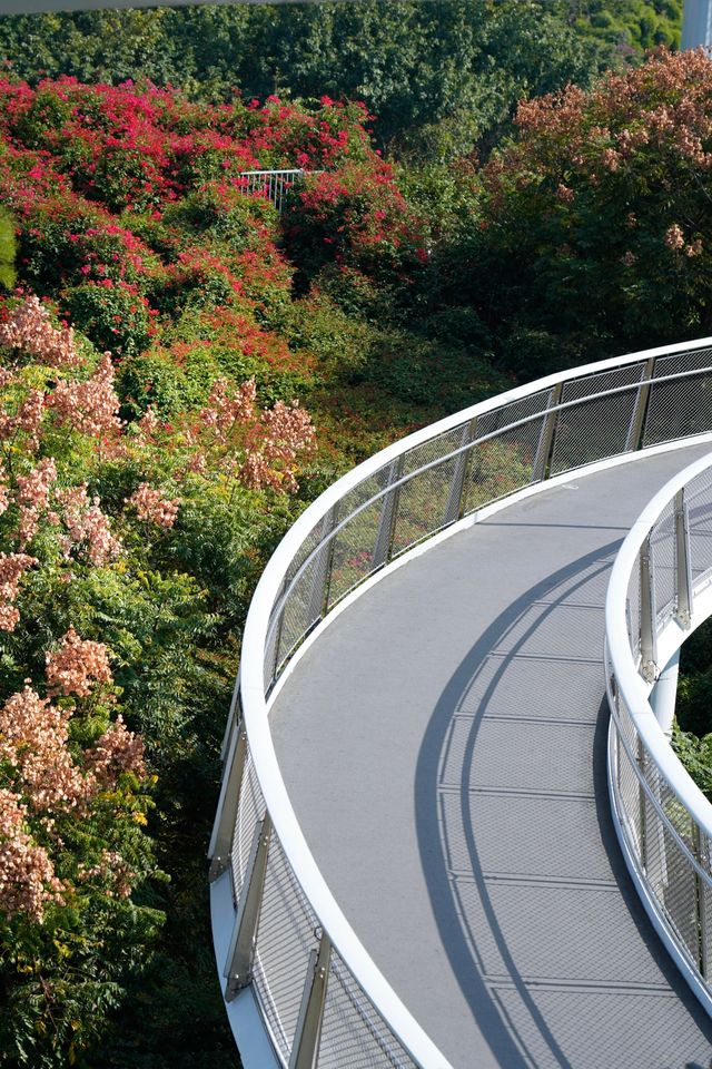 逃離城市喧囂廈門這條山海步道真的封神了