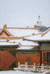 瀋陽故宮的雪太絕了!冬日限定版紅牆白雪,美到窒息!