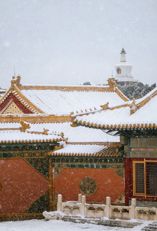 瀋陽故宮的雪太絕了!冬日限定版紅牆白雪,美到窒息! 瀋陽故宮的雪太絕了!冬日限定版紅牆白雪,美到窒息!