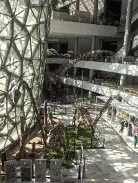 上海自然博物館中國恐龍大展 | 一眼看億年