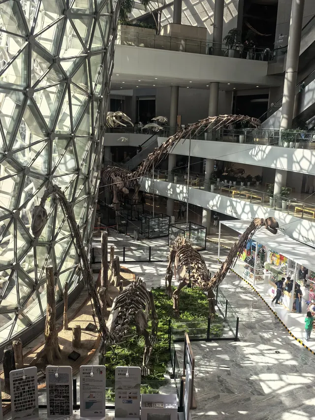 上海自然博物館中國恐龍大展 | 一眼看億年 上海自然博物館中國恐龍大展 | 一眼看億年