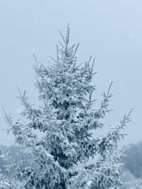 陝西秦嶺小火車|闖入冰雪秘境