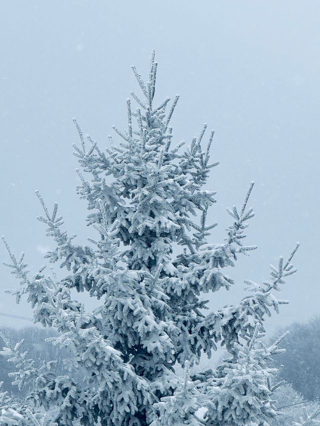 陝西秦嶺小火車|闖入冰雪秘境 陝西秦嶺小火車|闖入冰雪秘境