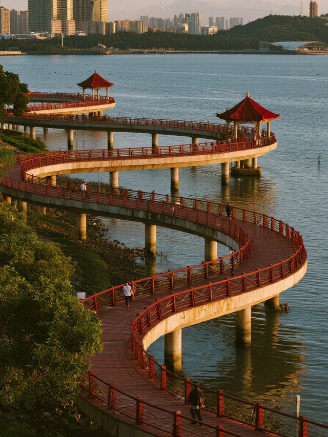 深圳冬日親子遛娃 福田紅樹林三大景區全攻略！