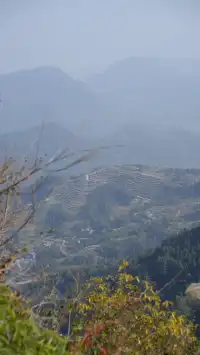 墜入「暮光森林」平陽滿田森林公園