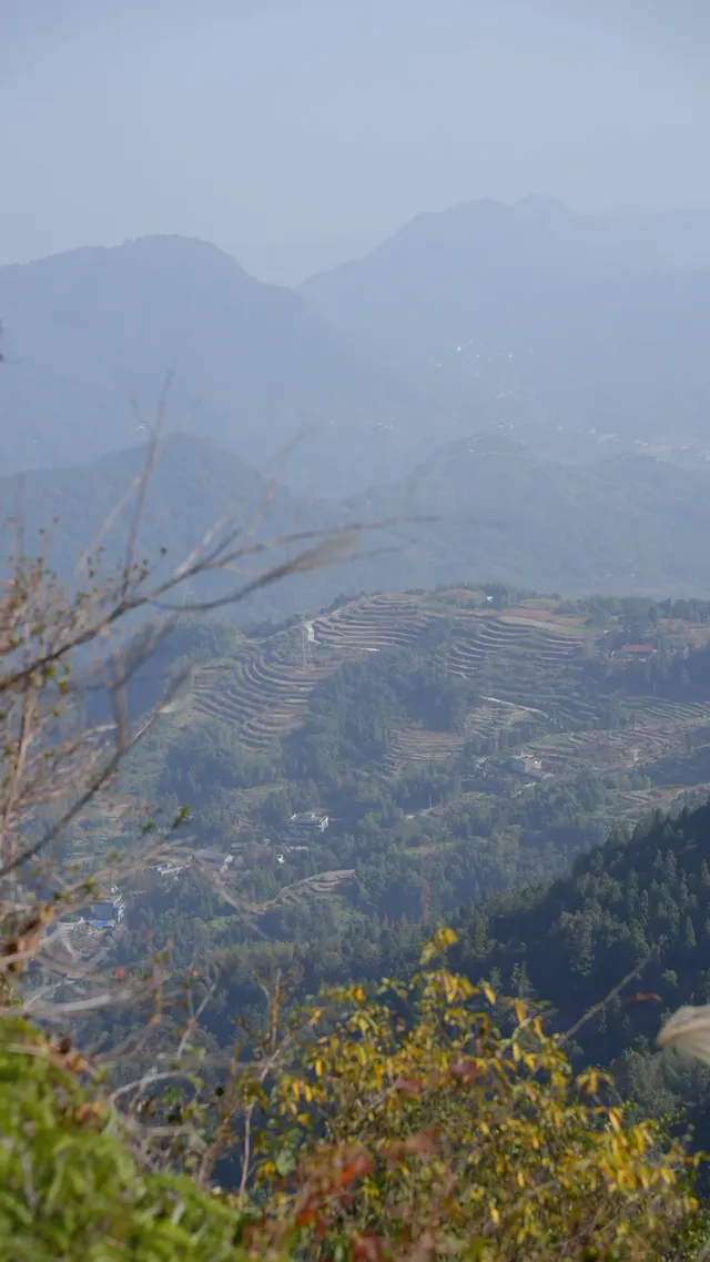 墜入「暮光森林」平陽滿田森林公園 墜入「暮光森林」平陽滿田森林公園