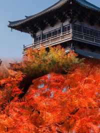 迄今為止,我最愛的江南古鎮出現啦