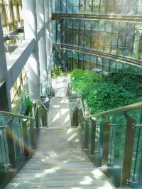 防止你失業後在泉州不知道做什麼（合集）