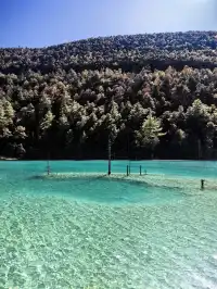 一日攬三景:帶娃暴走玉龍雪山雲杉坪藍月谷