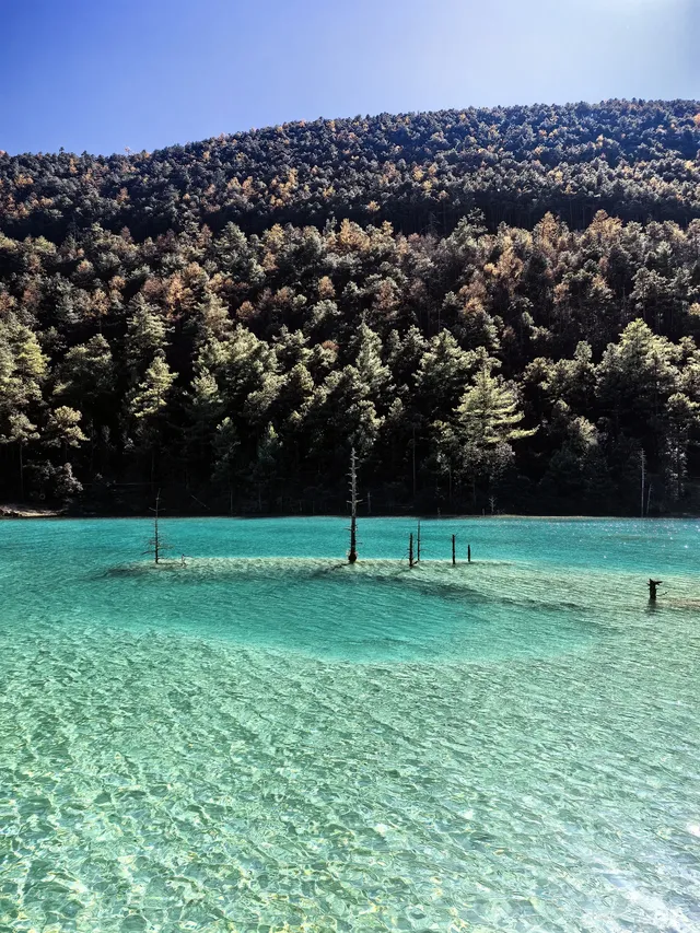 一日攬三景:帶娃暴走玉龍雪山雲杉坪藍月谷 一日攬三景:帶娃暴走玉龍雪山雲杉坪藍月谷