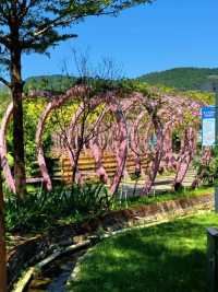 廈門小眾遛娃聖地集美果樂園一日遊攻略