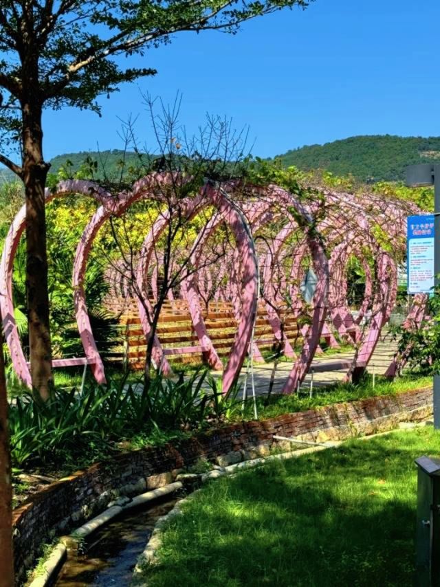 廈門小眾遛娃聖地集美果樂園一日遊攻略 廈門小眾遛娃聖地集美果樂園一日遊攻略