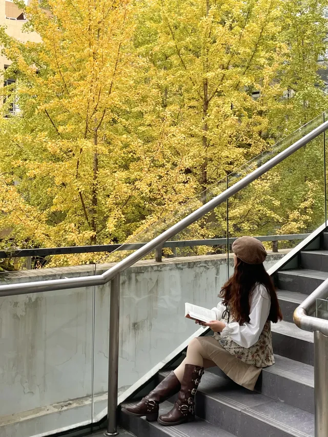 12.7實況!!福州這裡有超美銀杏打卡點!! 12.7實況!!福州這裡有超美銀杏打卡點!!