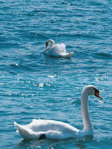 別再只盯著一處啦!關東遠超你想像~ 別再只盯著一處啦!關東遠超你想像~