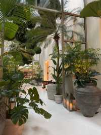 獅城最美街區漫步指南