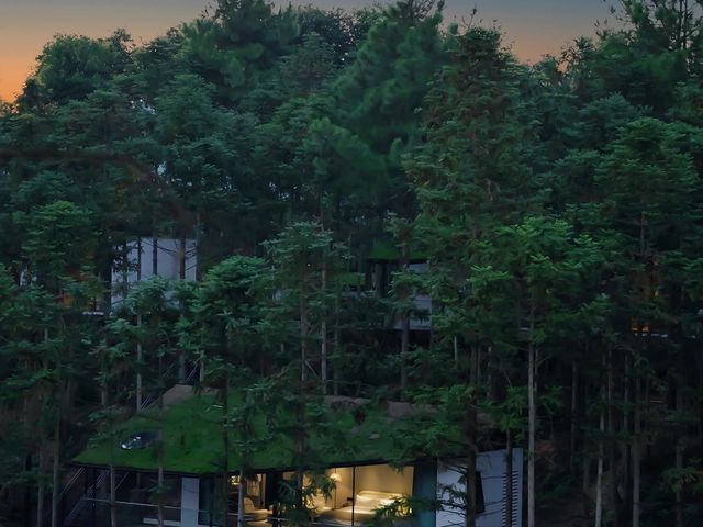 張家界徒步秘境 張家界徒步秘境