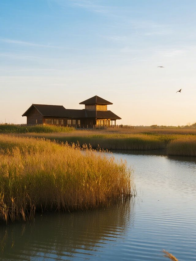 上海最近的「海上日出」!崇明東灘騎行觀鳥全攻略 上海最近的「海上日出」!崇明東灘騎行觀鳥全攻略
