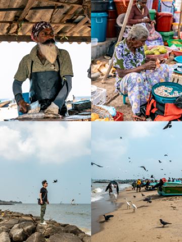 インド洋の真珠スリランカ必見ガイド（上）