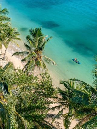 Wakaya Private Island, the same island as Bill Gates' choice