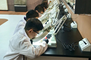 China Paleontology Museum May Immersive Science Popularization Activities