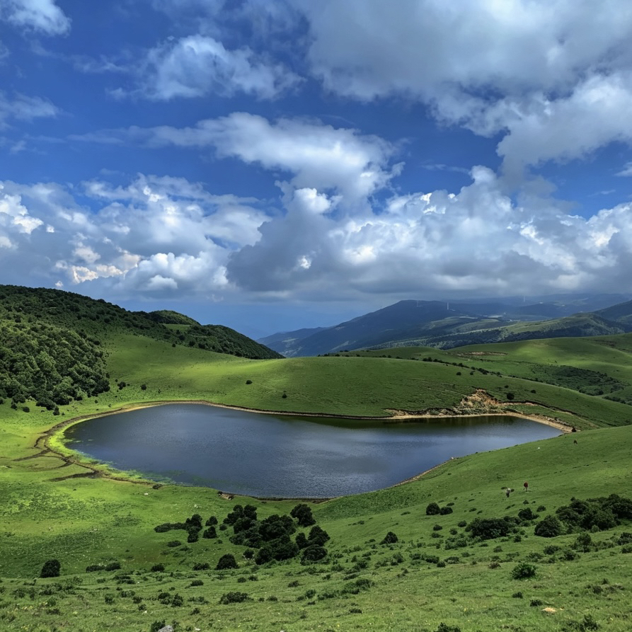 Dali Eryuan | Niudiao Mountain Guide | An Alpine Meadow Secret Deep Within Cangshan Mountain.