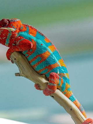 9-day Madagascar tour guide you can copy