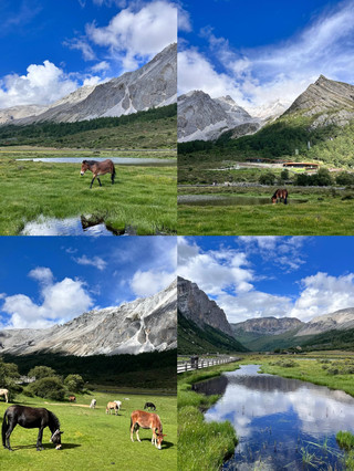適合一家人去浪漫城市