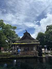 日本路線攻略，分享閨蜜遊旅途點滴