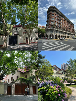 6 wutong dream streets in Shanghai｜local favorite citywalk routes