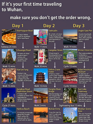 Wuhan guide made by my girlfriend—the logic of a STEM girl is truly impressive
