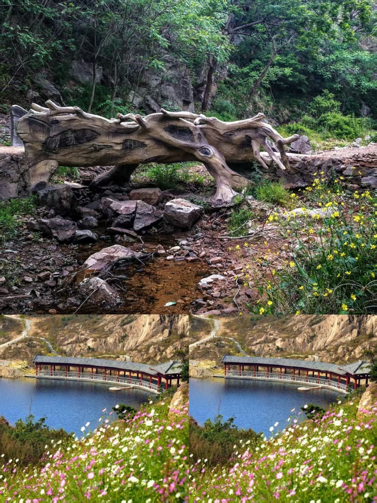 Scenic Lakes and Mountains, Leisure in the Quiet Valley. A one-day itinerary: first, head to Tianma Island to take in the beautiful lake and mountain scenery.