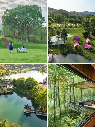 Want to avoid the crowds this Mid-Autumn and National Day? Save this spot in Yixing Bamboo Sea
