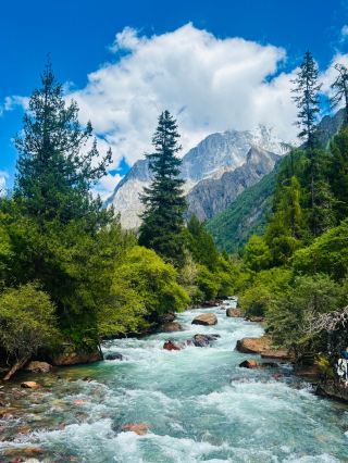Sept 3 Live | The Green of Changping Valley is Layered Healing 🌲

The green of Changping Valley comes in layers — tender new shoots, dark moss, and emerald lake water blending into one another like nature's own palette.

Towering fir trees surround you, and looking up, you'll catch glimpses of Yaomei Peak's snowy summit drifting in and out of the clouds. At 3,400 meters, the air is thin, but somehow your worries feel lighter too. Walking through the pristine forest, moss underfoot and streams murmuring nearby, you're wrapped in green — quiet, calming, healing.

🌿 Hiking Routes

· Easy: Take the shuttle to Lama Temple, then hike to Dead Tree Beach — about 2–3 hours round trip, already stunning.
· Advanced: Continue toward Muluozi for deeper forest and closer views of Yaomei Peak — about 5–6 hours round trip.

💡 Tips

· Altitude: Valley entrance ~3,200m; Muluozi ~3,700m. Walk slowly to avoid altitude sickness.
· What to wear: Layers — windproof jacket, fleece, quick-dry base. Non-slip hiking shoes essential.
· Sun protection: Strong UV — hat, sunglasses, sunscreen are a must.
· Getting there: ~4 hours from Chengdu to Siguniangshan Town, then shuttle into the valley.
· Best season: September–October — autumn colors mixed with lingering greens.

The mountains are timeless, the flowers are summer-warm. Changping Valley's green will truly heal you. 🌿✨

#underratedspots 