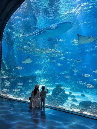 The Zhejiang version of "Atlantis" for effortless parenting~ Found a god-tier, ultimate mom-saver, kid-friendly gem in the Yangtze River Delta. Zhoushan Changqiao 2-day 1-night all-indoor fun,