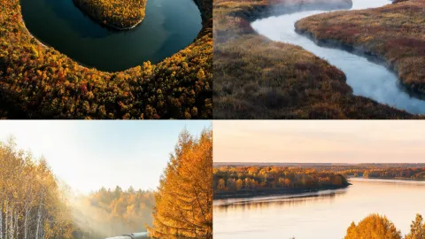 China's northernmost autumn: Encounter a golden fairytale in Mohe — traveler post in Mohe