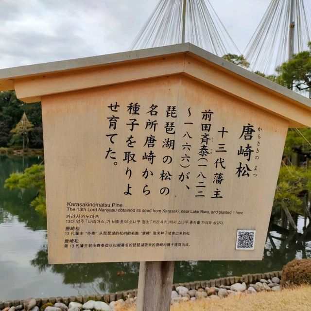 【石川県金沢市】日本庭園🌳日本の文化に触れる