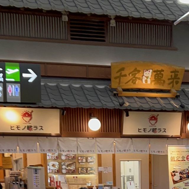 干物🐟