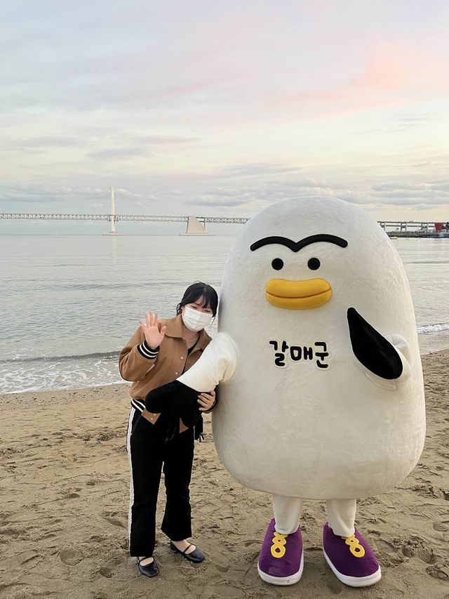 부산 여행의 끝은 역시 광안리 🌊🎆