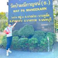 🏰 วัดป่าใจสวยสงบสุดๆ