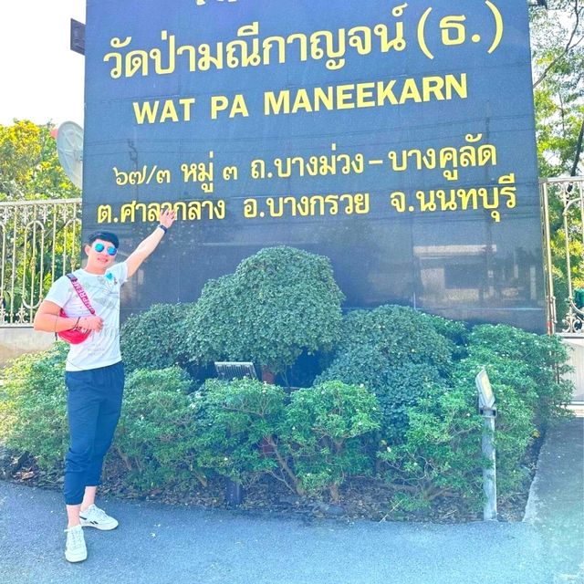 🏰 วัดป่าใจสวยสงบสุดๆ