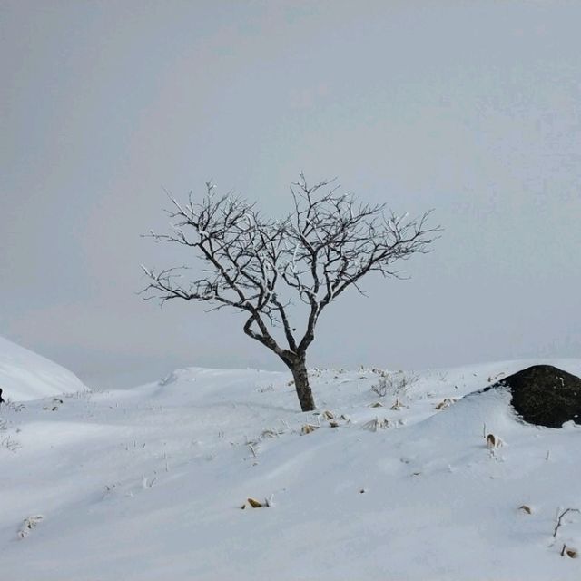 【美幌峠】が素晴らしい