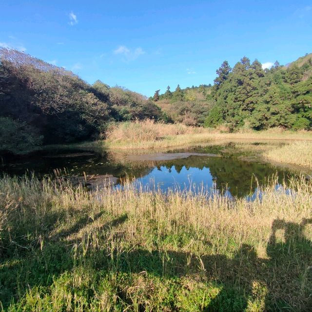 風光明媚-冷水坑坑生態池