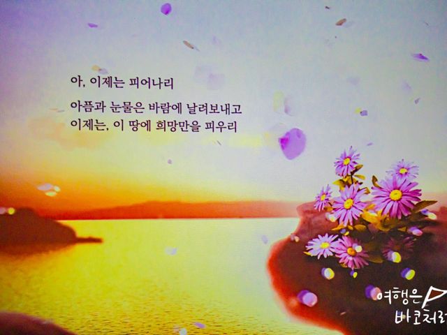 경주도 동해인걸 알고있나요!? 경주 감포 여행 경주도 동해인걸 알고있나요!? 경주 감포 여행