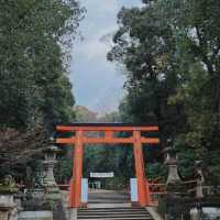 奈良公園一日遊❤️餵鹿經驗🦌
